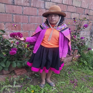 Flor de María Apaza Suclli